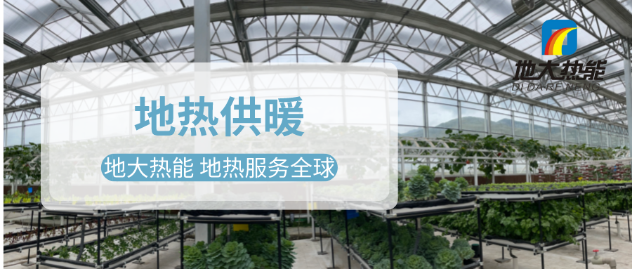 發(fā)揮地?zé)豳Y源優(yōu)勢，地?zé)徂r(nóng)業(yè)實現(xiàn)花卉產(chǎn)業(yè)特色發(fā)展 | 地大熱能 地?zé)岱?wù)全球