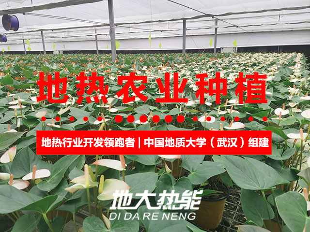 濟南：“地熱能+農(nóng)業(yè)”產(chǎn)業(yè)融合，讓地熱能真正“熱”起來-地大熱能